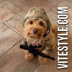 Doggy Soldier Funny Soldier Pet Costume
