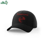 Evanescence 2026 World Tour Sanctuary Limited Hat