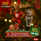 Indiana Hoosiers 2025 Big ten Champion Ornament