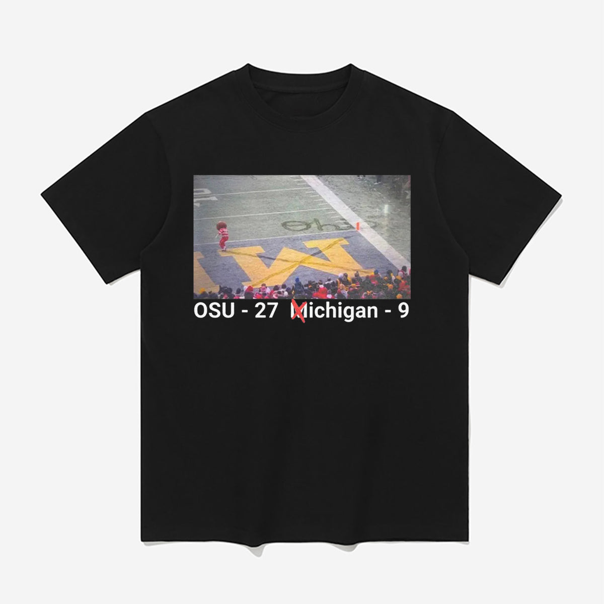 Ohio Erase The M T-Shirt