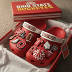 Ohio State Buckeyes Croc Charms