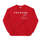 Red Freedom Shirt Charlie Kirk