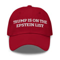Trump Is On The Epstein List Hat