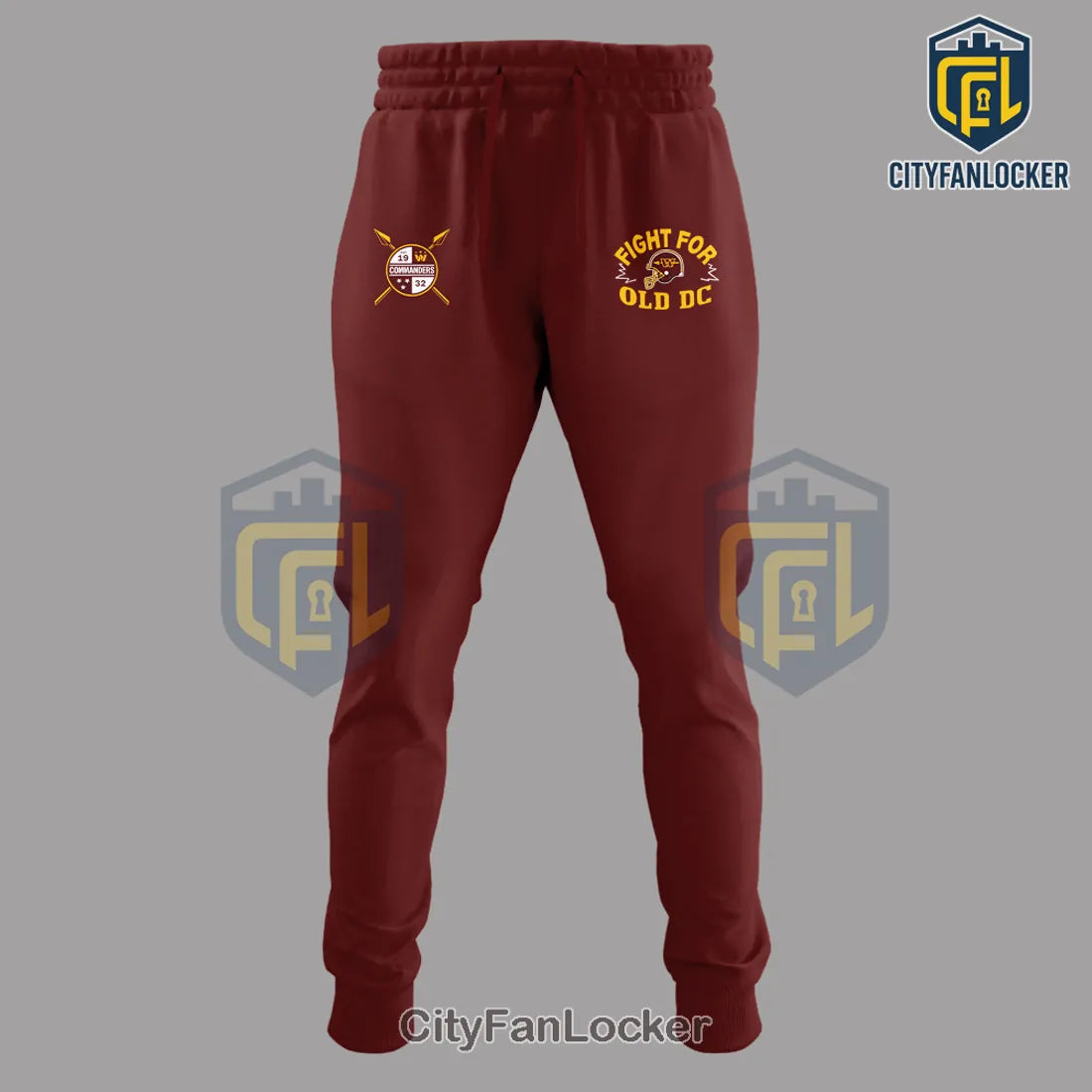 Washington Commanders NFL Hail to the Commanders Premium Hoodie